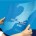 Norfolkline, now owned by DFDS Seaways operates  the Dover to Dunkirk (Dunkerque in French) ferry connection and are the only operator to operate a car & passenger service between these...