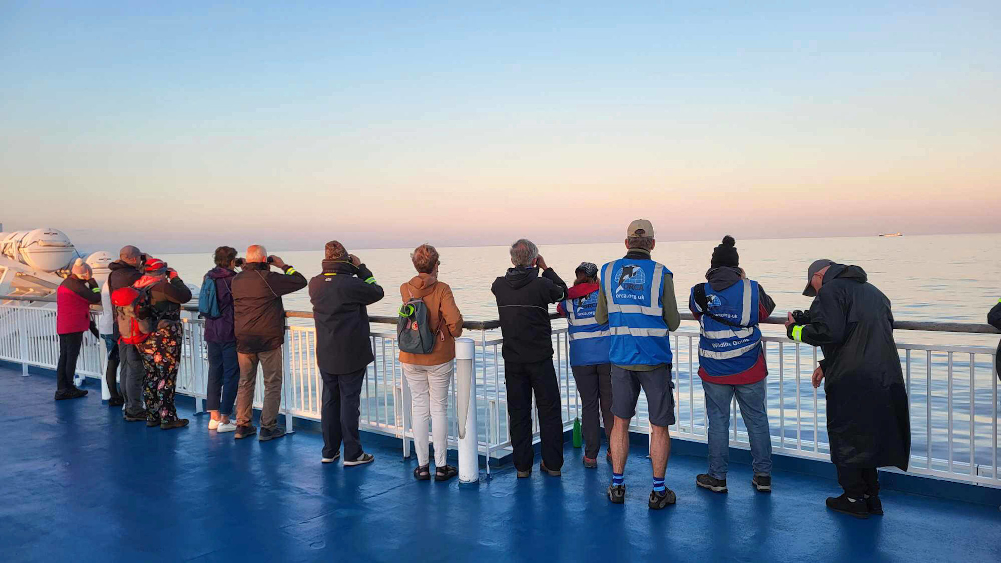 Whale & dolphin watching cruises