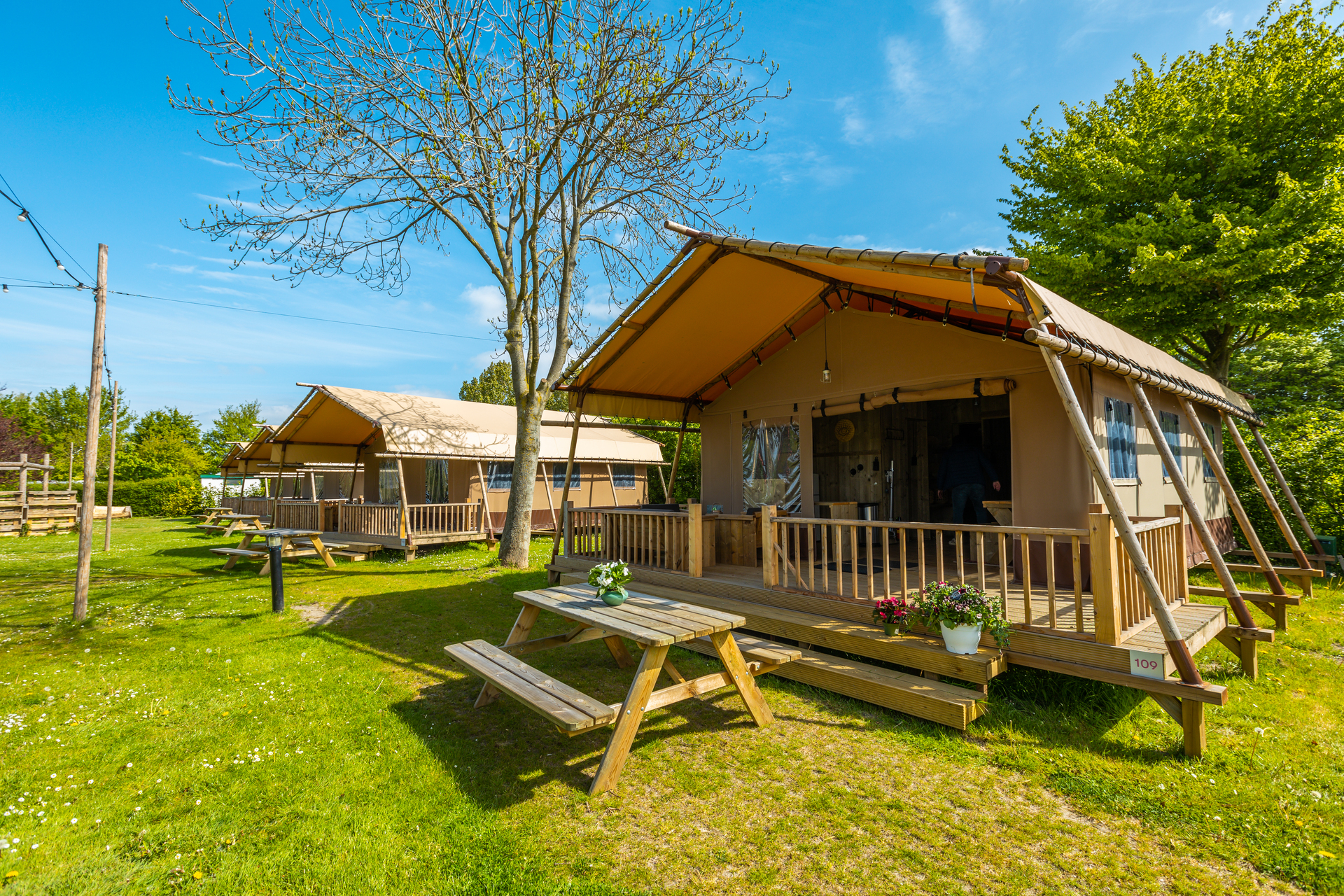 EuroParcs Molengroet