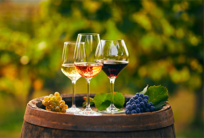 Wine Tasting Mini cruise: From €399 return