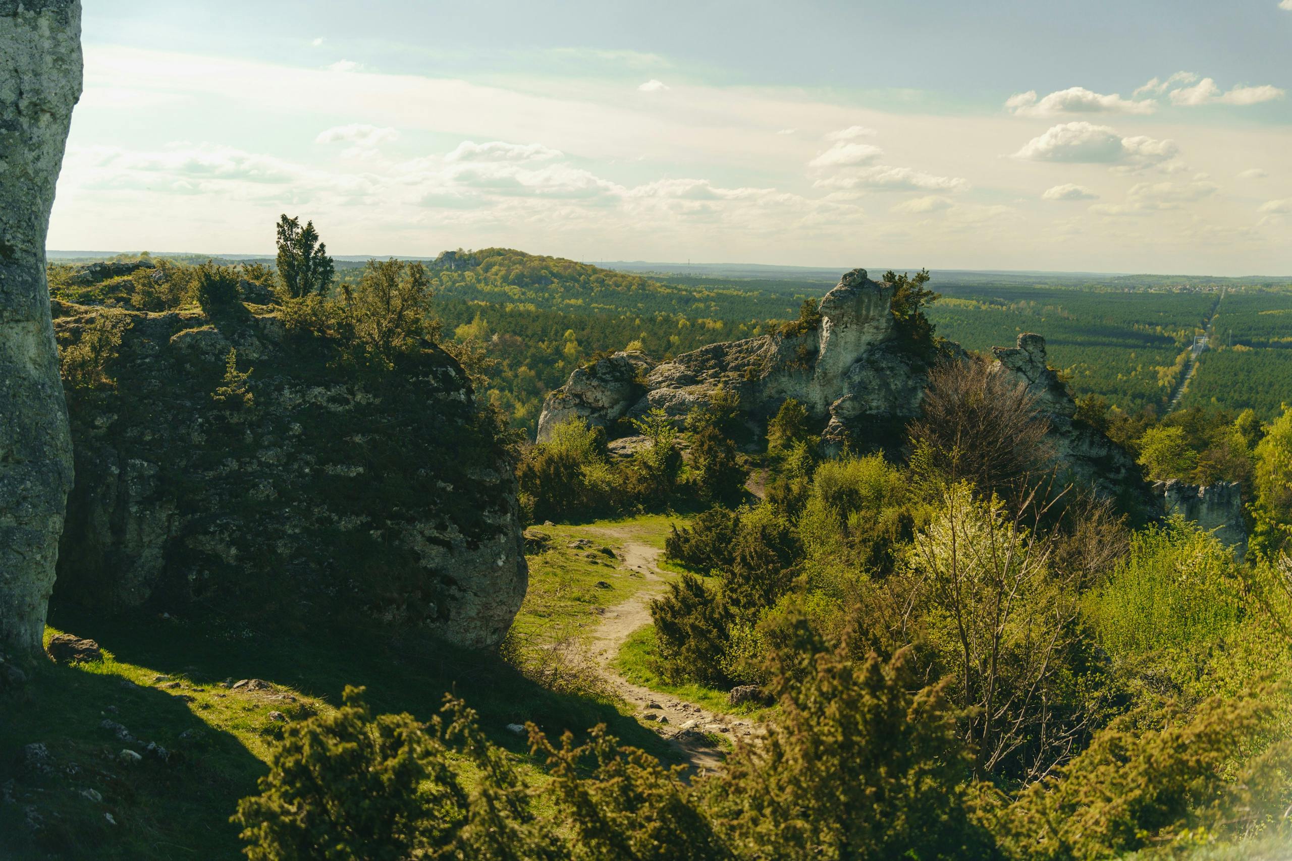 Explore the stunning rock formations and lush greenery of the Jura landscape in Lesser Poland.