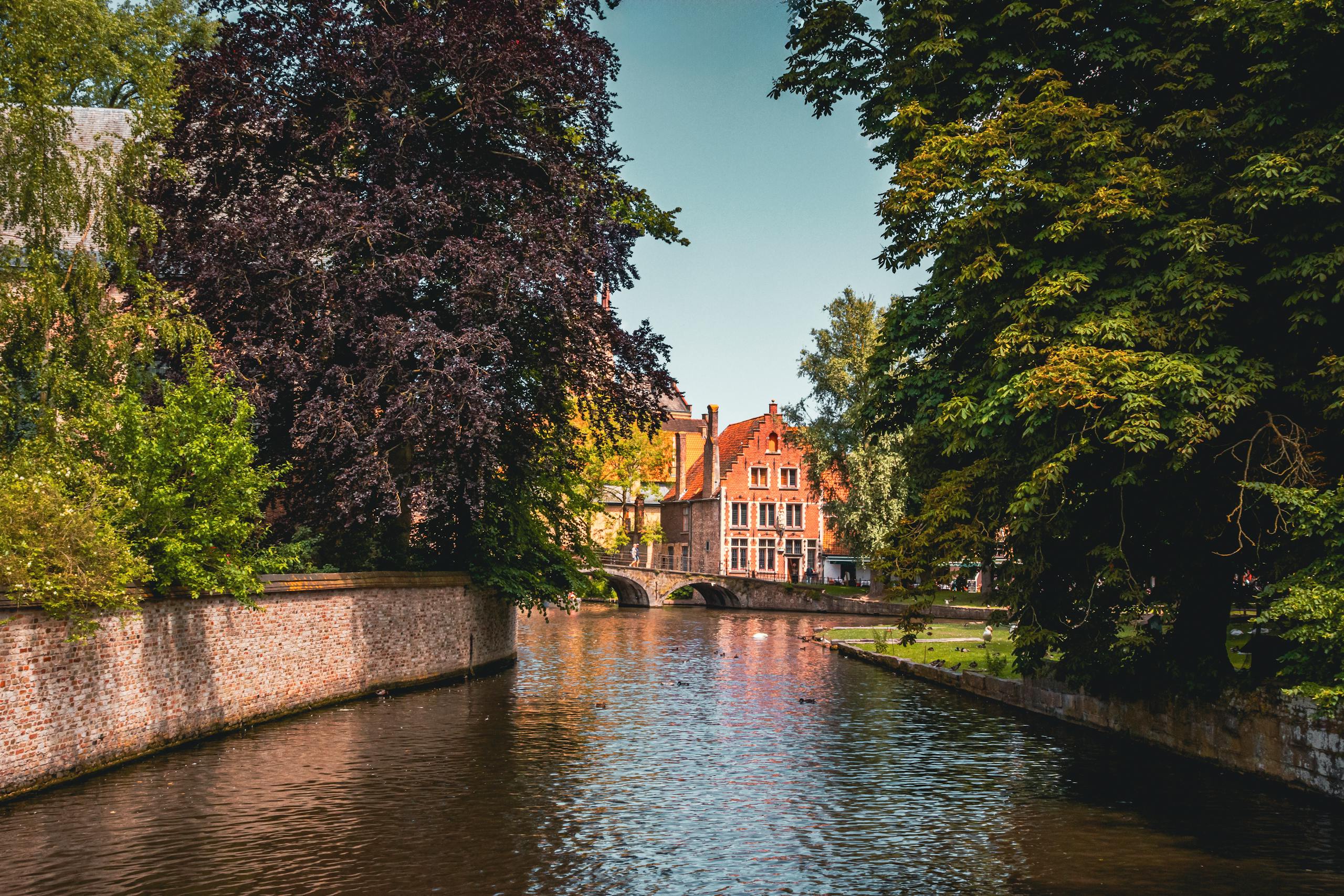 Picturesque canal scene in Brugge, showcasing classic Belgian architecture and lush greenery.