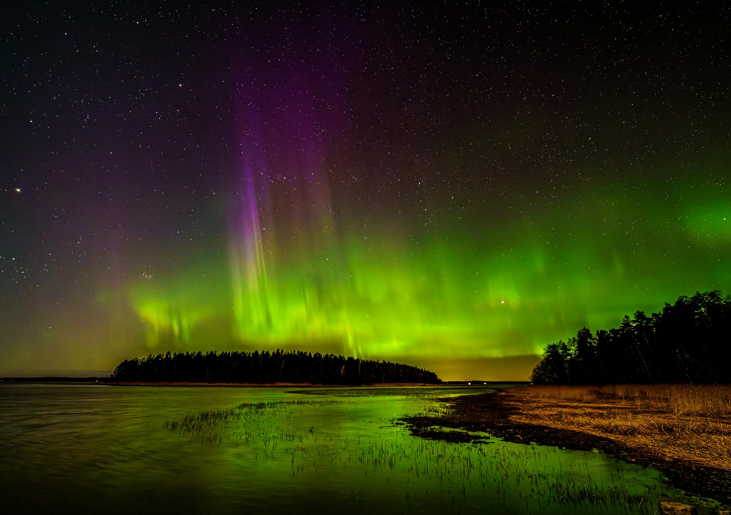 Vivid aurora borealis over shoreline in Askainen, Finland, showcasing green and purple hues under a starry night sky.